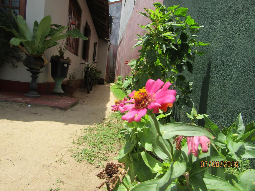 New Sea Lion Guest House Hikkaduwa Luaran gambar