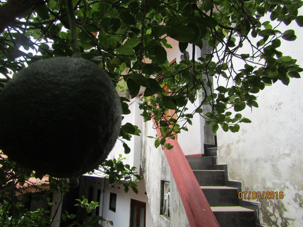 New Sea Lion Guest House Hikkaduwa Luaran gambar